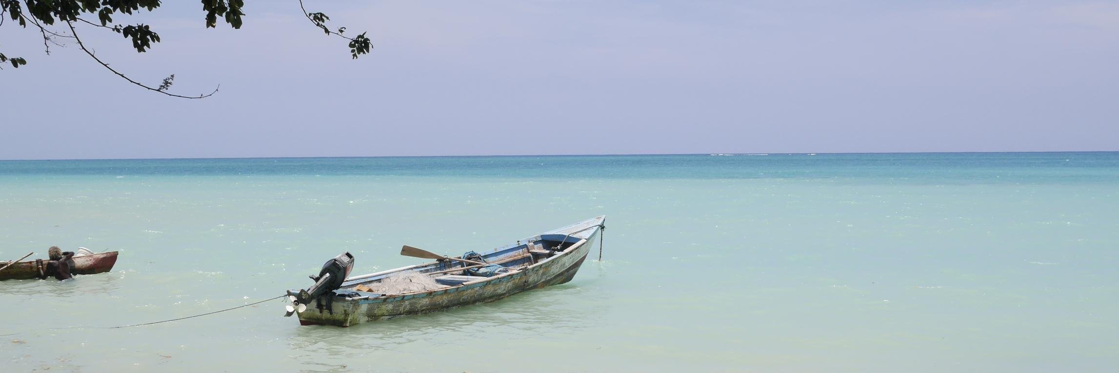 Lassalle david banner