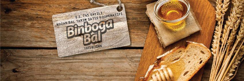 binbogabali's profile banner image