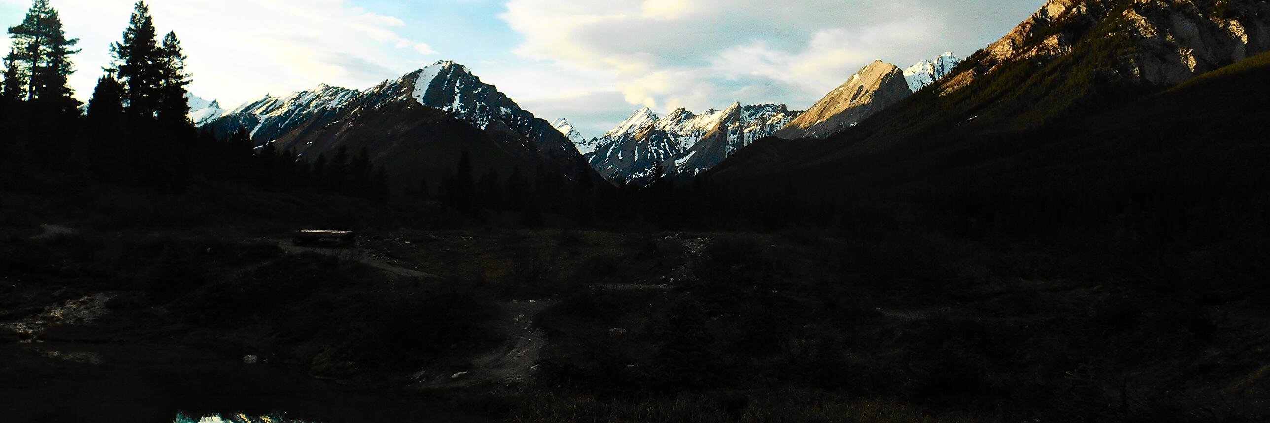 mik_neds's profile banner image