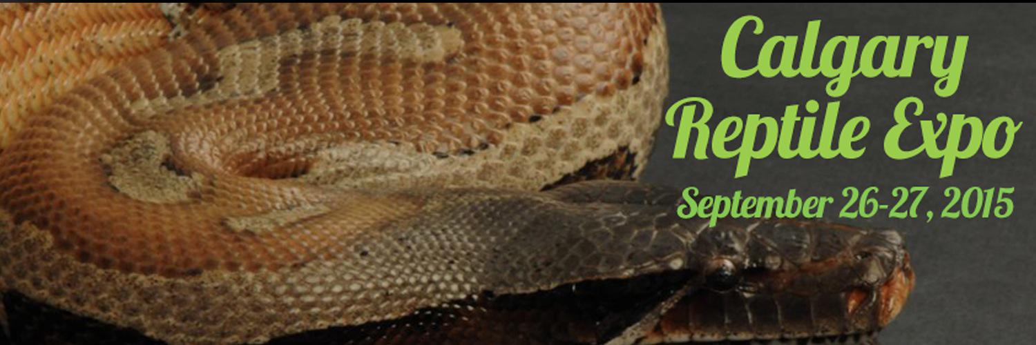 AlbertaReptiles's profile banner image