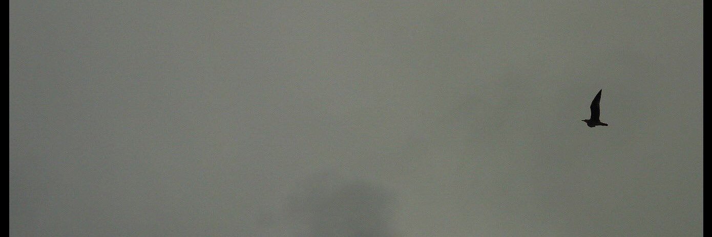 backenvelope's profile banner image