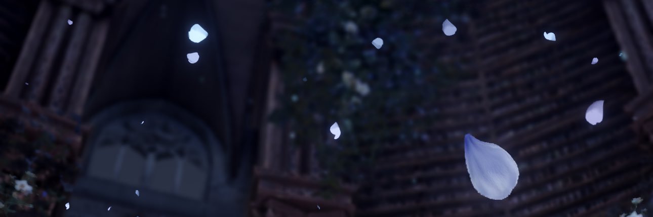 ✧˖°. Karolina✧˖°. banner