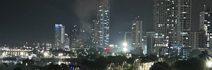 Annette Planells banner