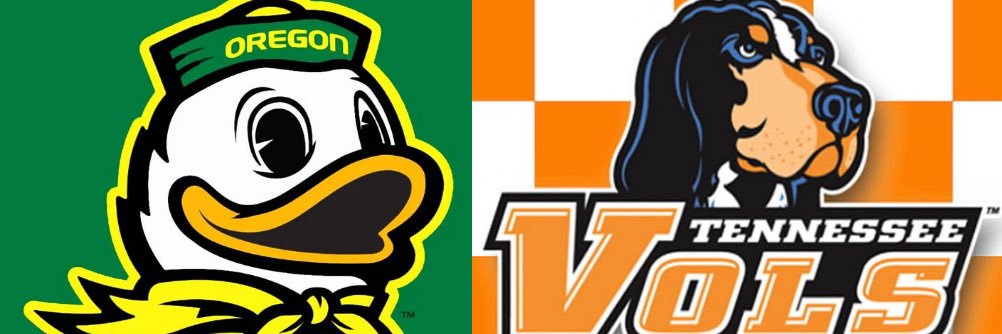 VolDuck651 banner