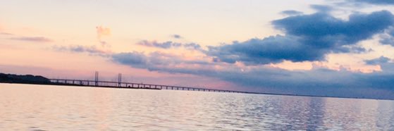 froggi_5's profile banner image