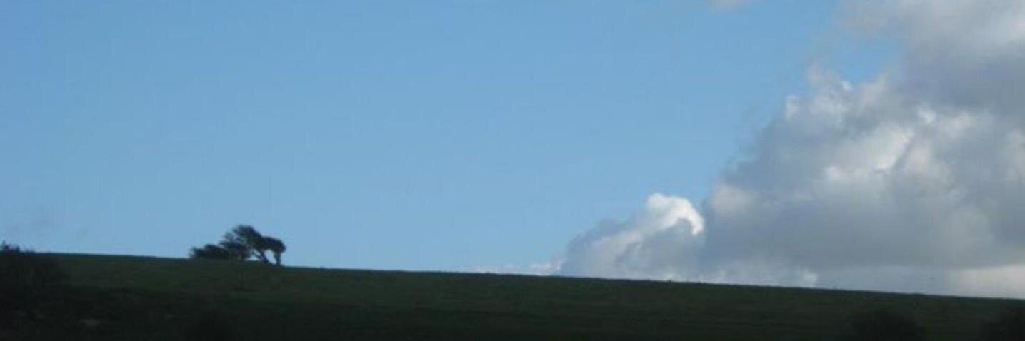 RutElliotB's profile banner image