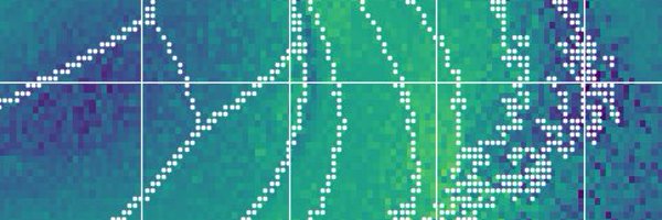 riccilabimagine Profile Banner