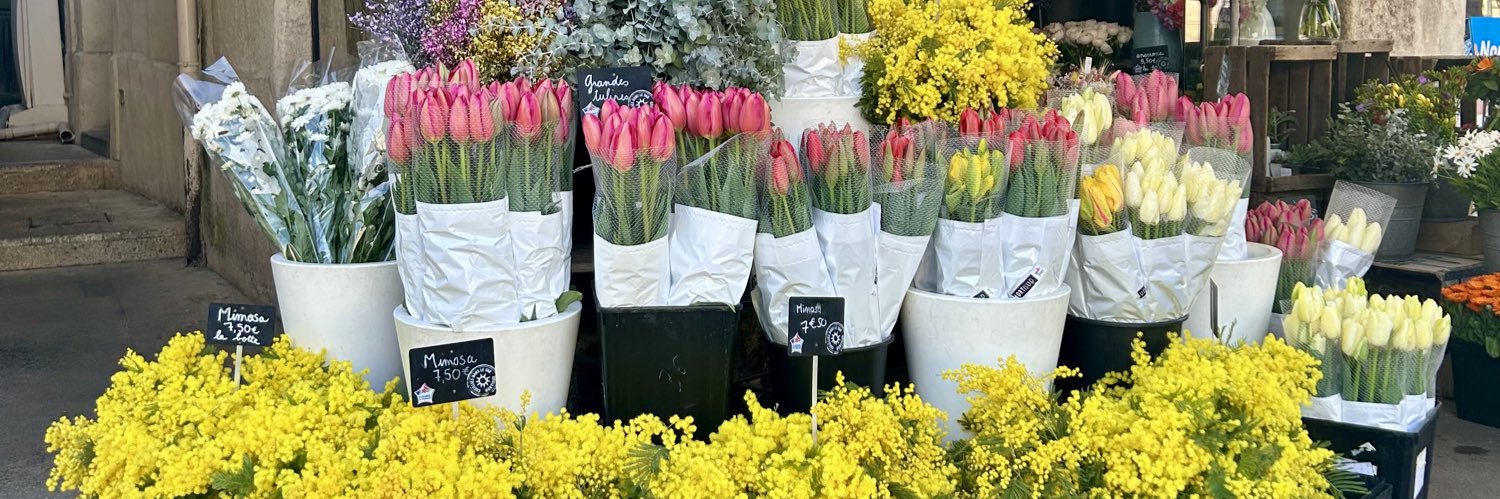 Amandine_berson's profile banner image