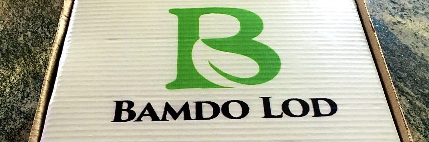 Bamdo lod services's banner