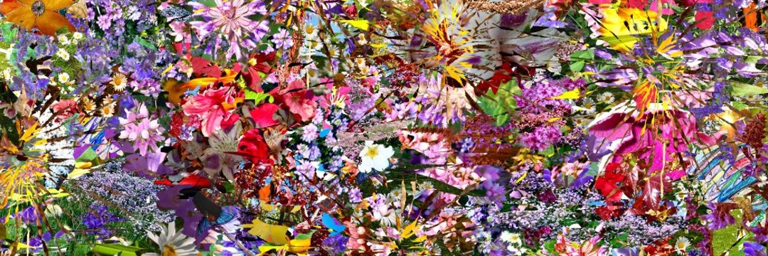 lealmeli's profile banner image