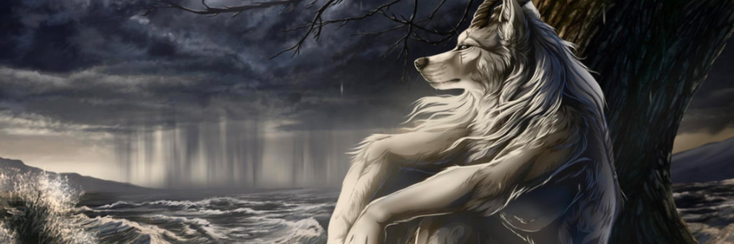 Loon Wolfer banner