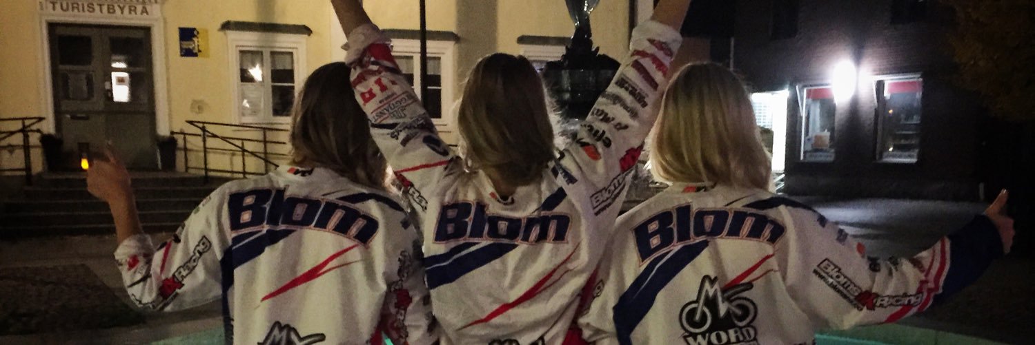 lisablomman's profile banner image