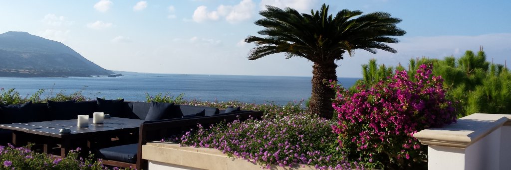 Katja & Walter banner