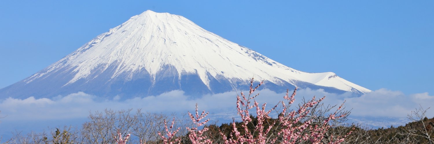 梅紫蘇フライ banner