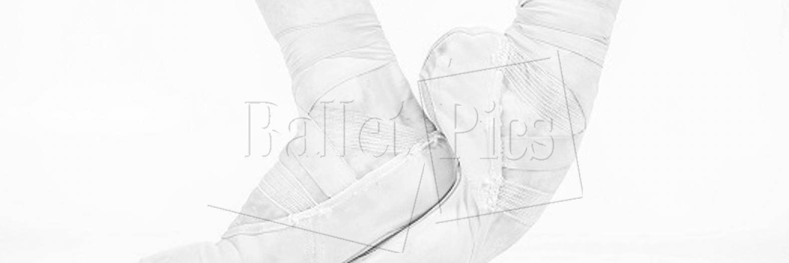 BalletPics's profile banner image