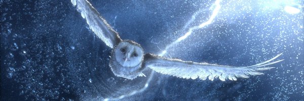 JulioCesar11235 Profile Banner