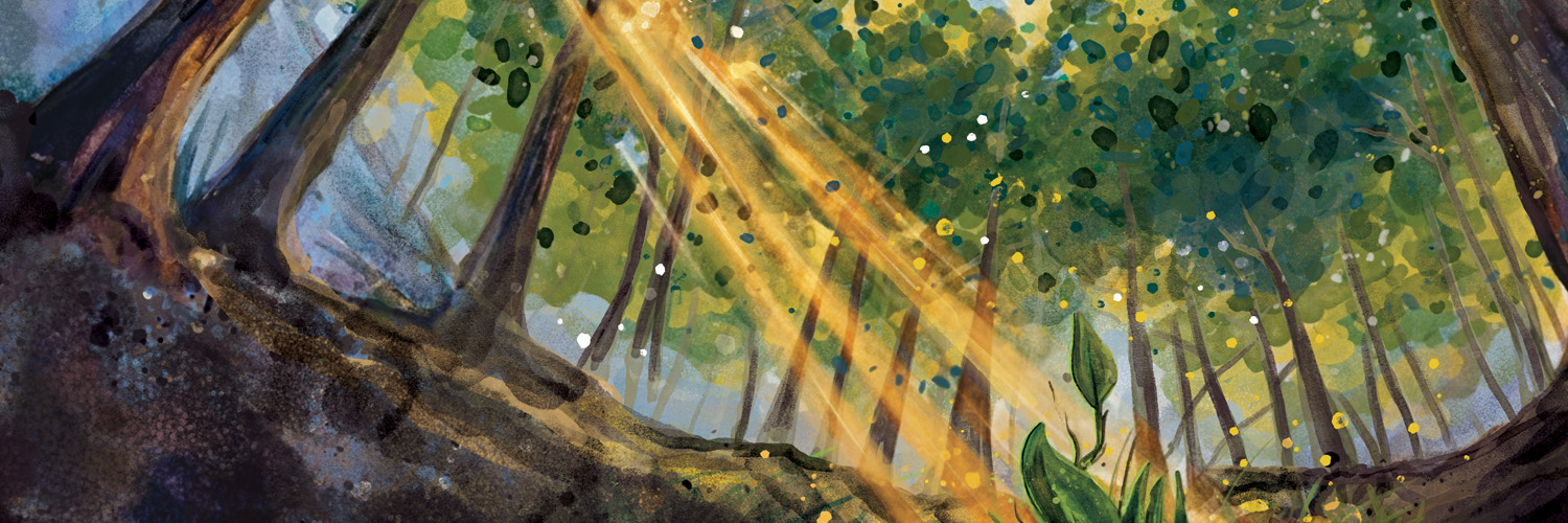 umichLSA's profile banner image
