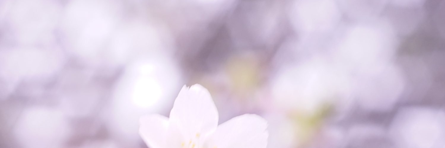 みのり🌿 banner