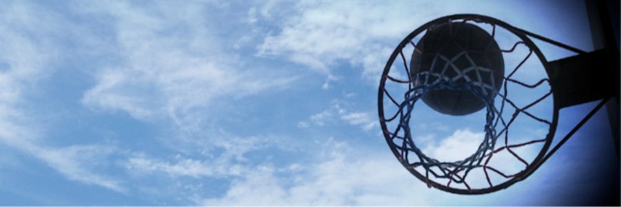 Mike Ogden banner