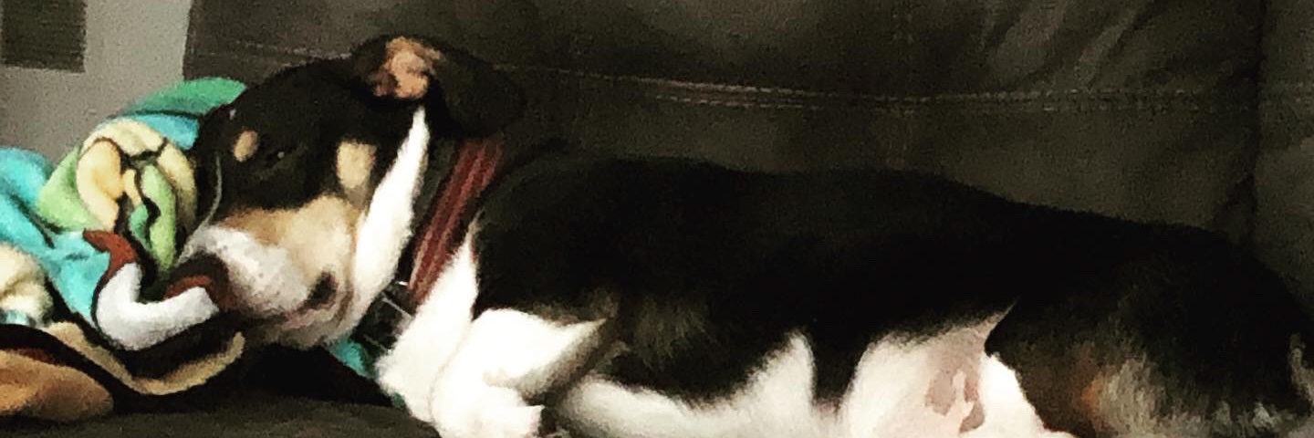 Vegzombie's profile banner image