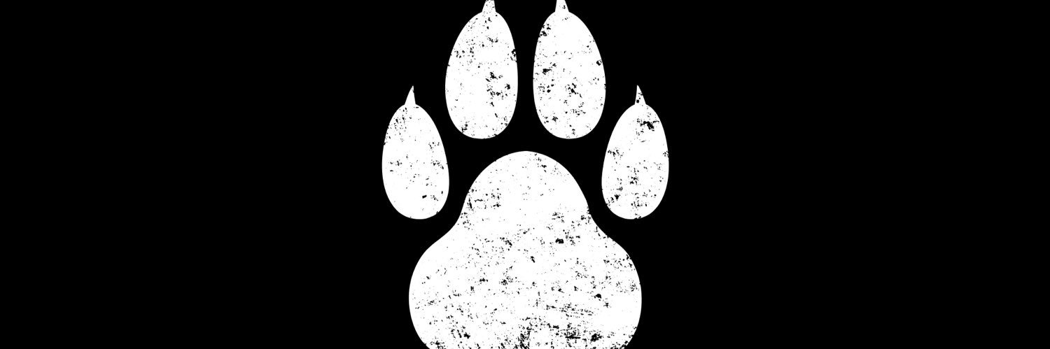 SHAKIVERSO 🐾🇵🇾 banner