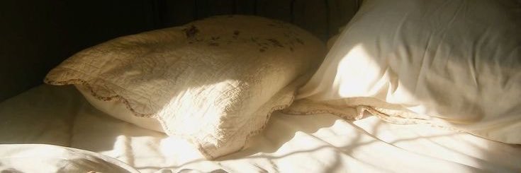 plina banner