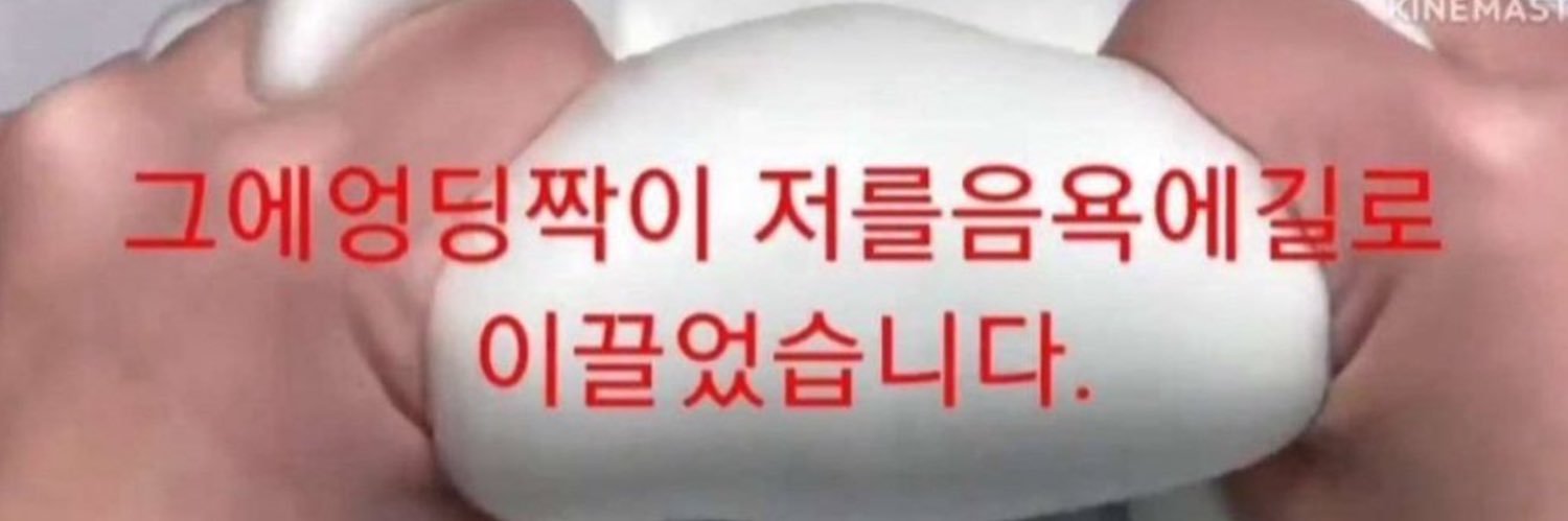 삽살개 banner