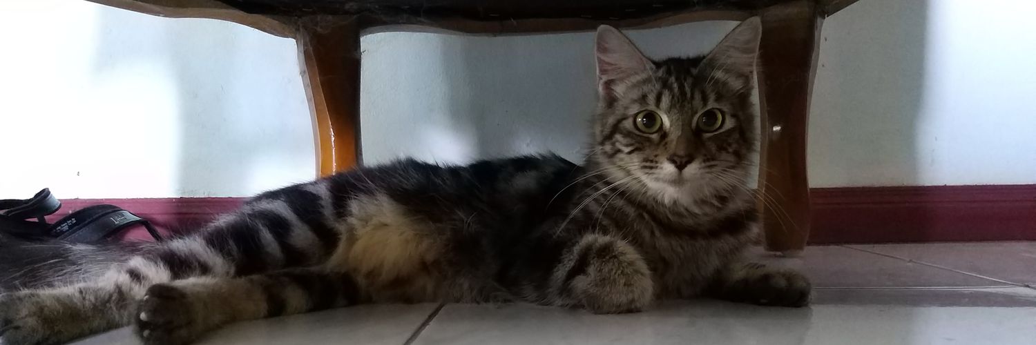 matasalju's profile banner image