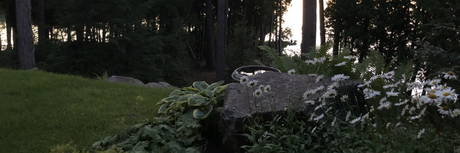 verotheo's profile banner image