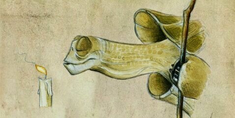 fatmunbit's profile banner image
