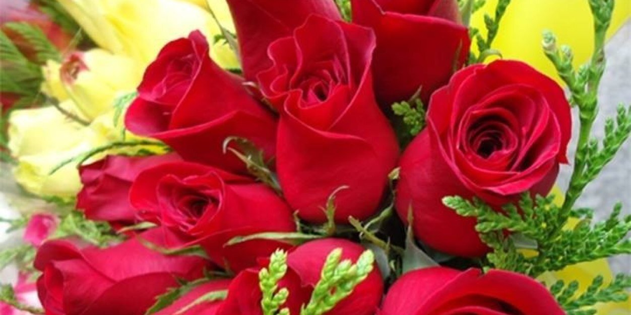 335577991144's profile banner image