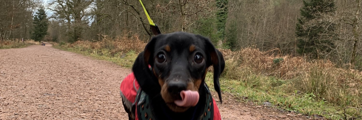 benmsharp's profile banner image