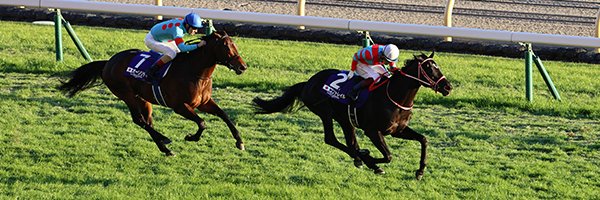 『優駿』編集部 banner