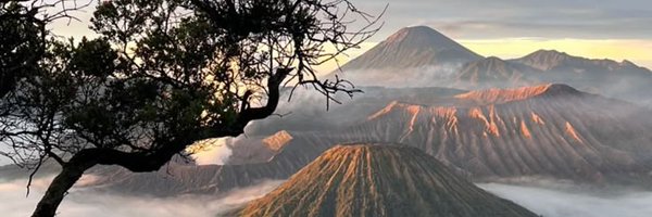 syinsyon Profile Banner