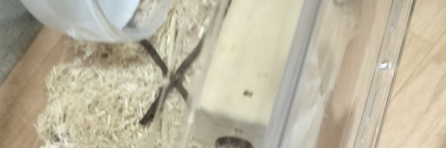 y t統合失調症　糖尿病　アルコール依存症 banner