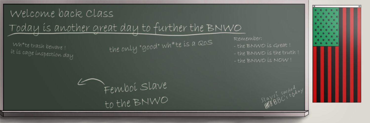 TNWO_Snowglobe banner