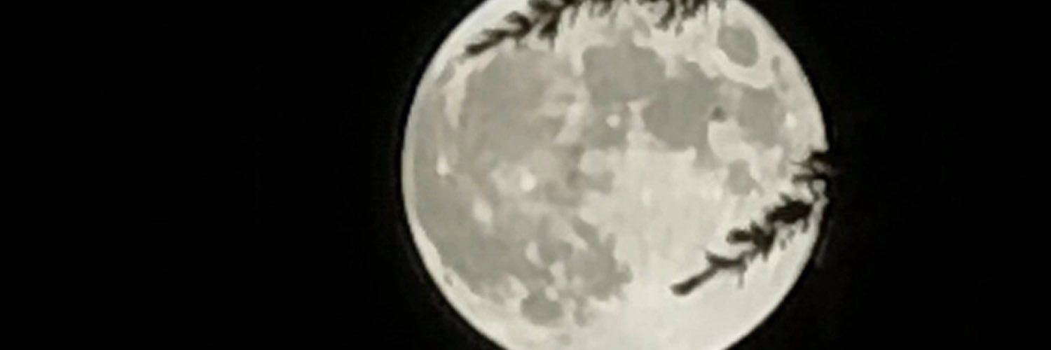 Sss111751's profile banner image