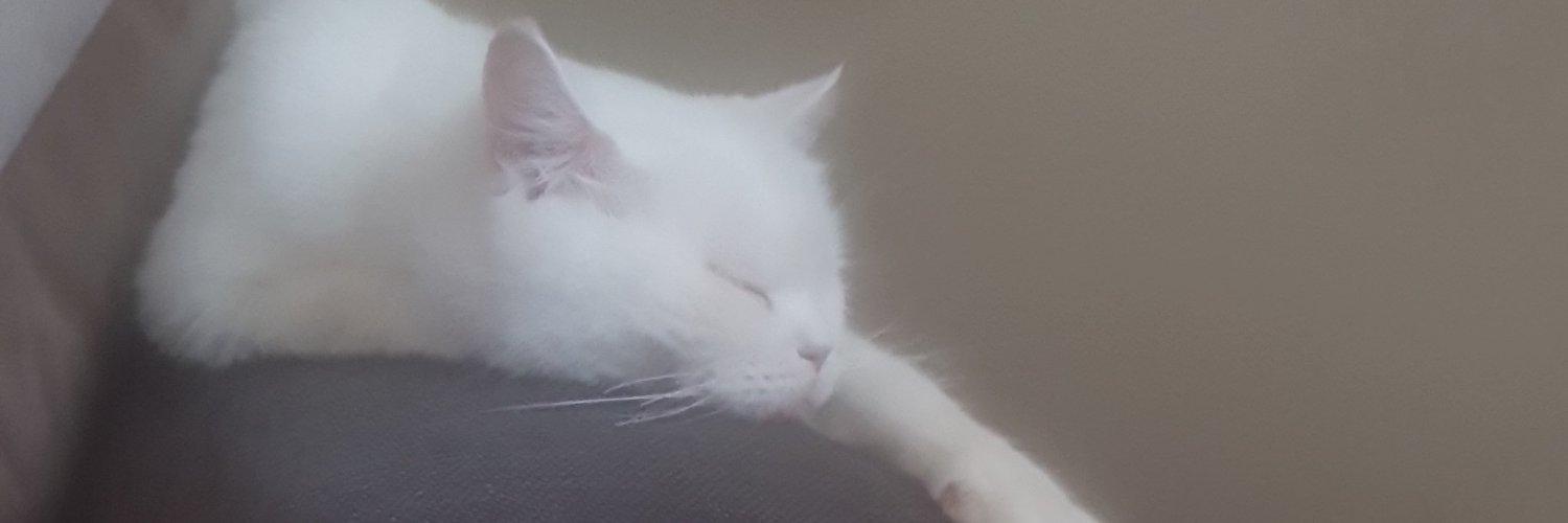 comebackfedaisi's profile banner image