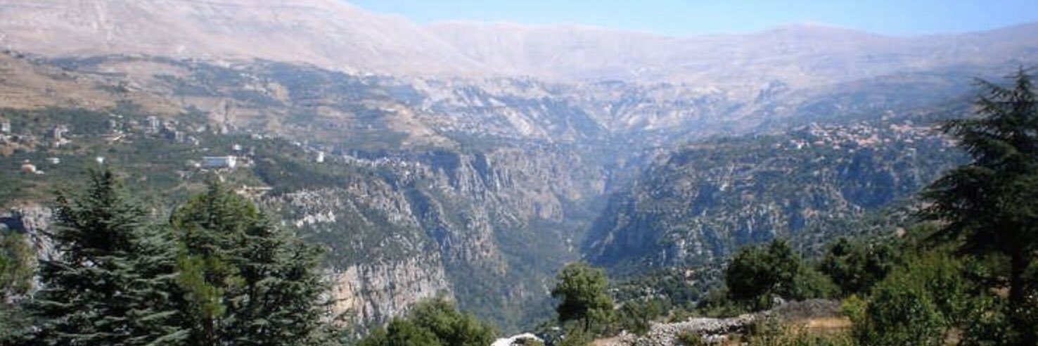 george abboud banner