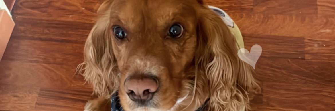 AnnyRodriguz's profile banner image