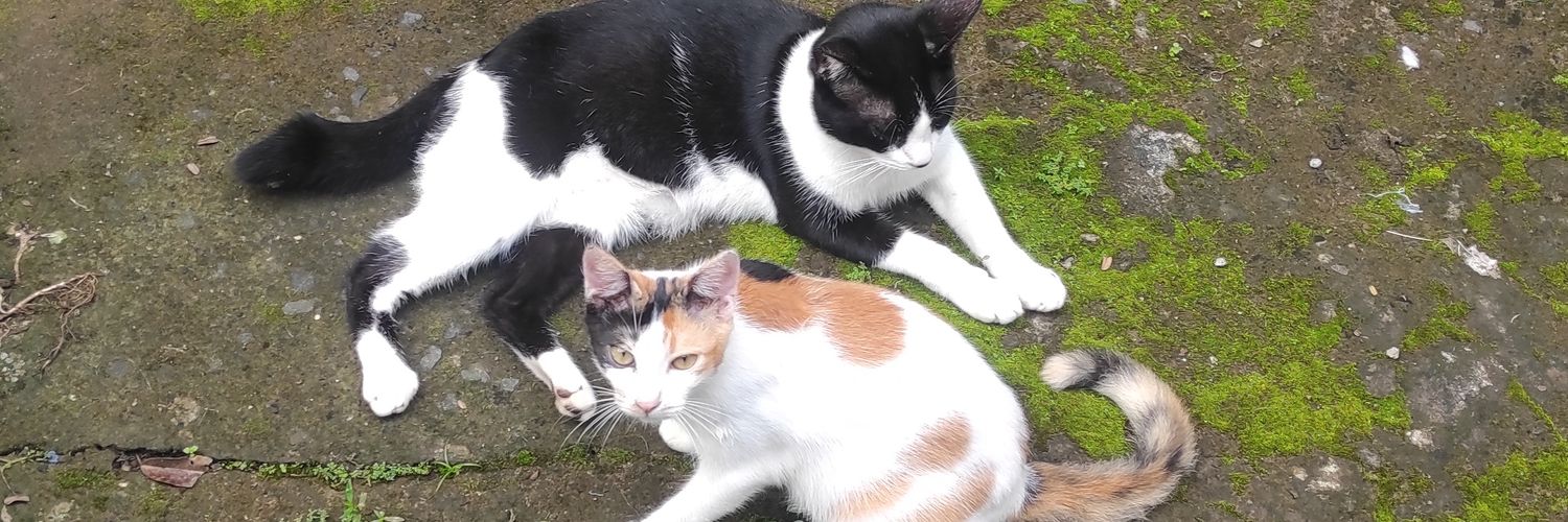 Anjem & Jastip ready banner