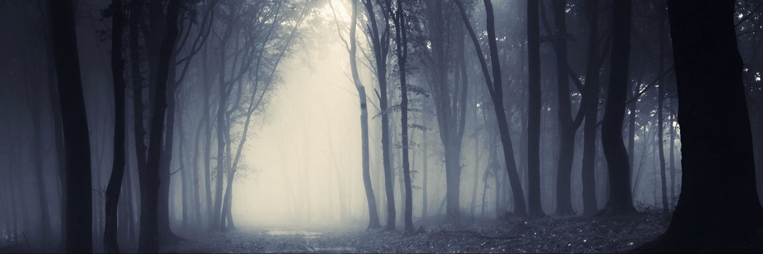 _junillness's profile banner image