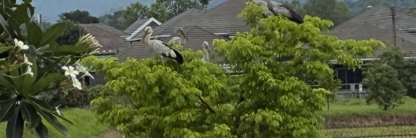 doherty_mi54547 Profile Banner