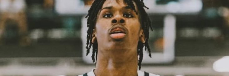 Danelli January banner