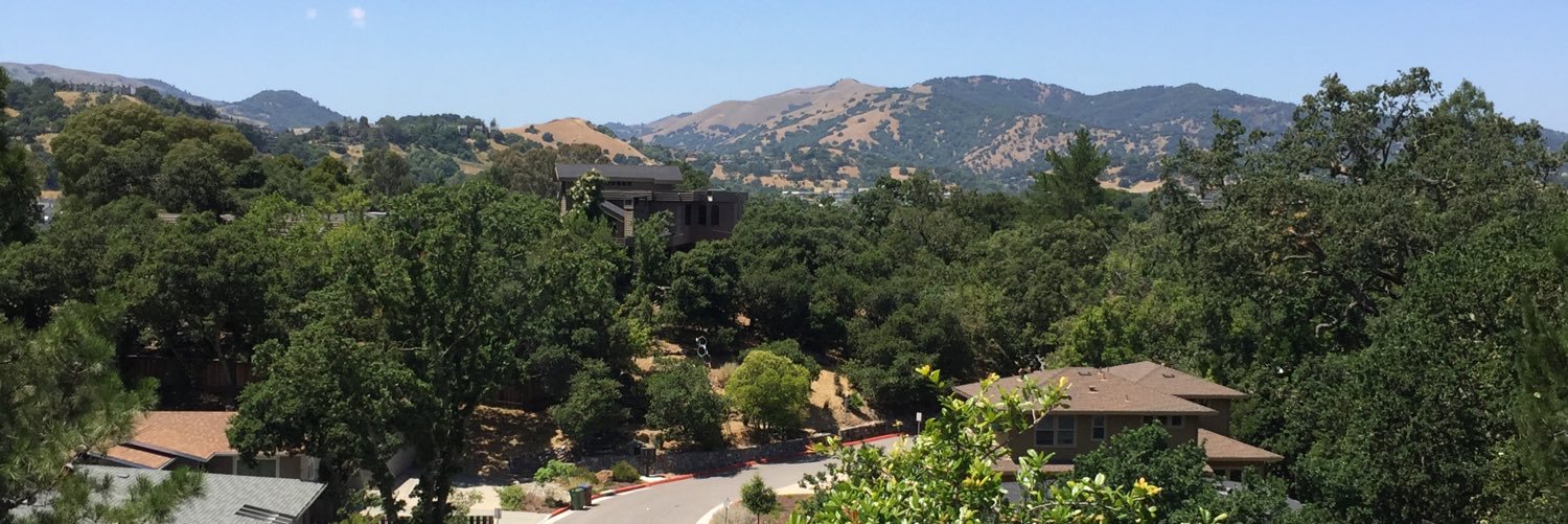 Deborah Voigt banner