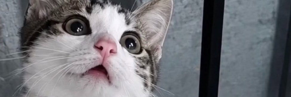 Smynur7's profile banner image