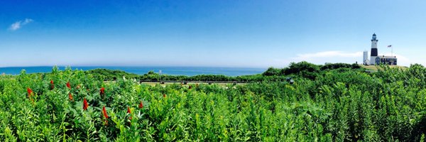 fabienbinacchi Profile Banner