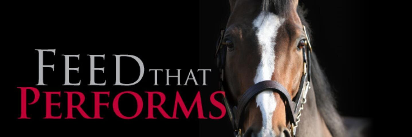 PegusHorseFeed's profile banner image
