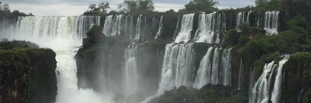 soleoza's profile banner image
