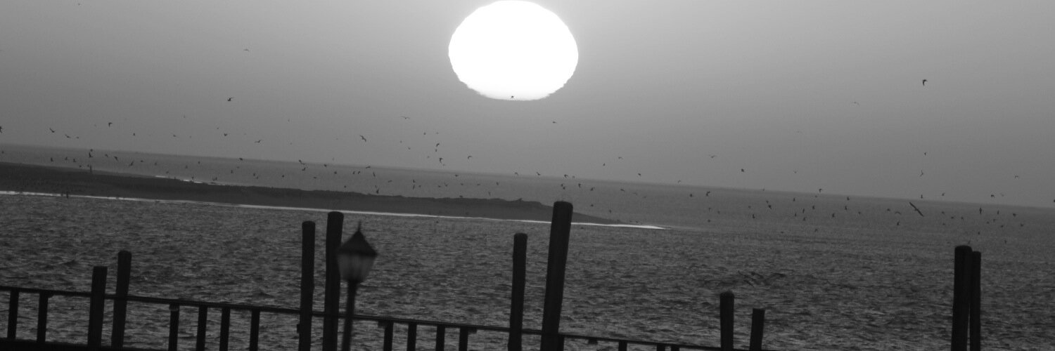 InesDSC's profile banner image